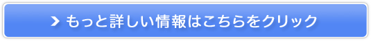 WiFioC[^1^T[rXyWiFi^ǂƂށz̔TCg
